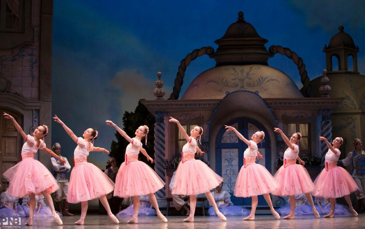 Wardrobe Types of Tutus PNB Blog