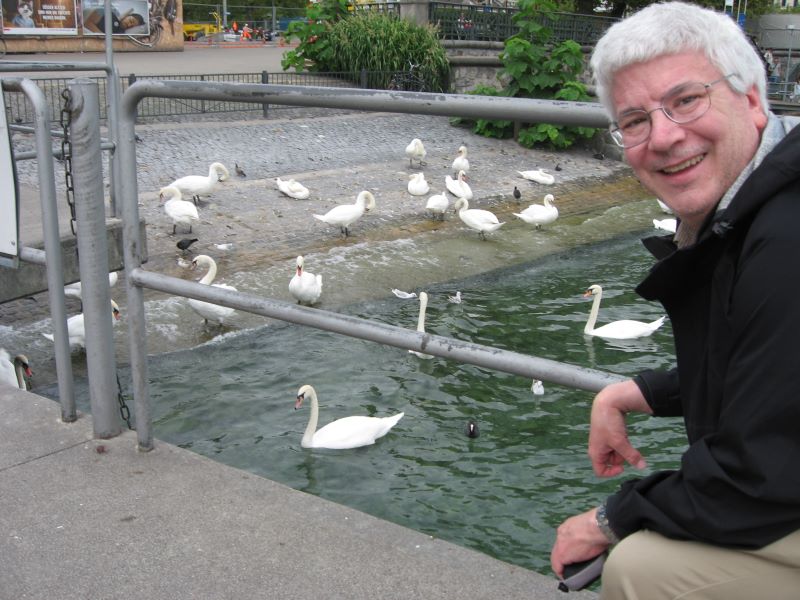 Tad Margelli_with_Swans at Lake Zurich_websize