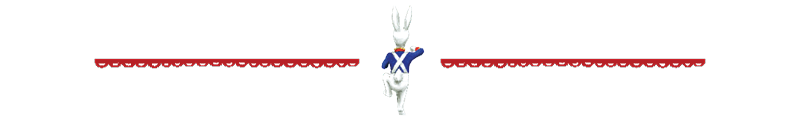 BunnSoldier_banner_3