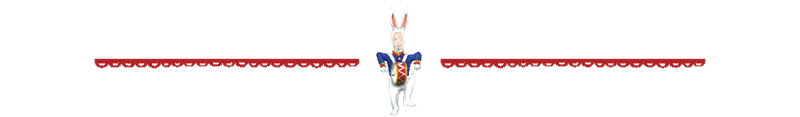 BunnySoldier_banner_1