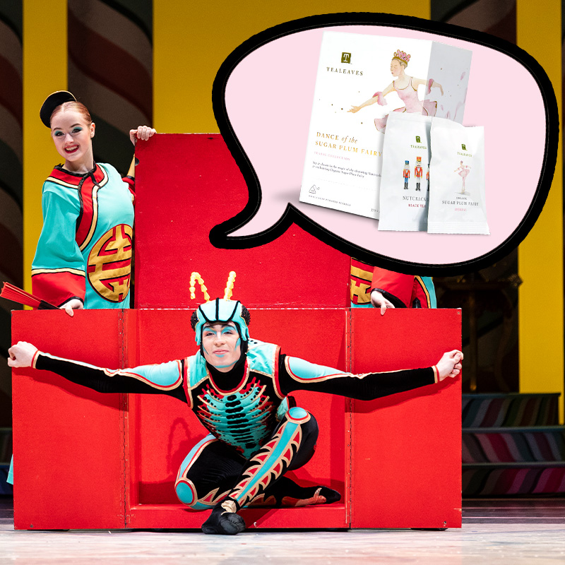 Gift Guide_Green Tea Cricket