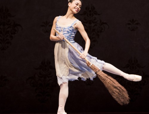 Cinderella Character Guide