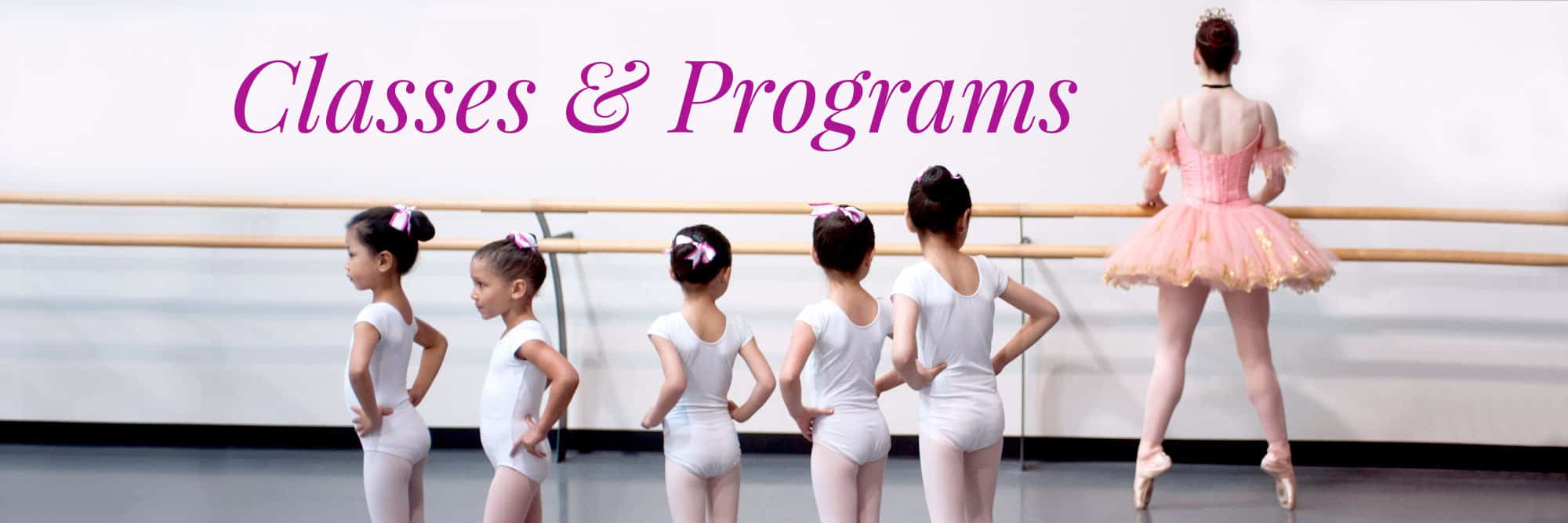 PNB School Classes and Programs