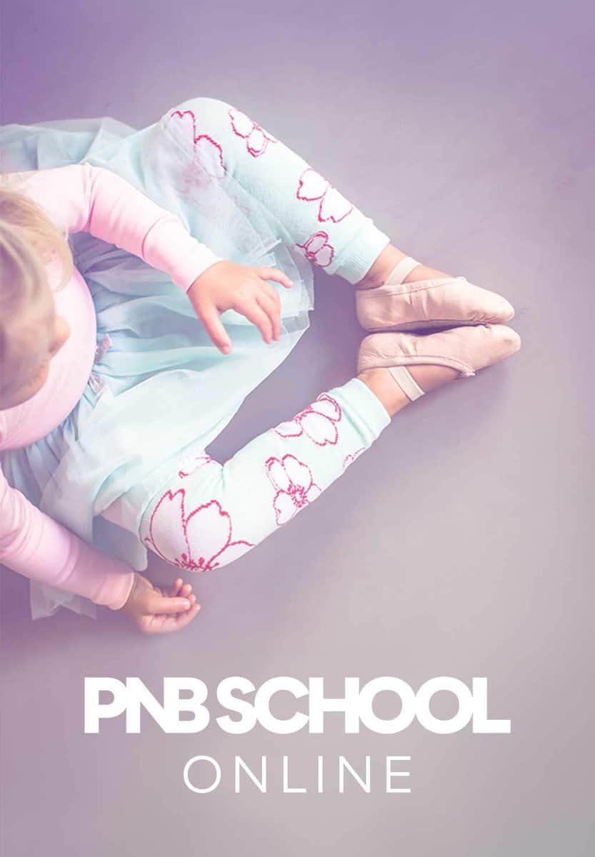 PNB School Online