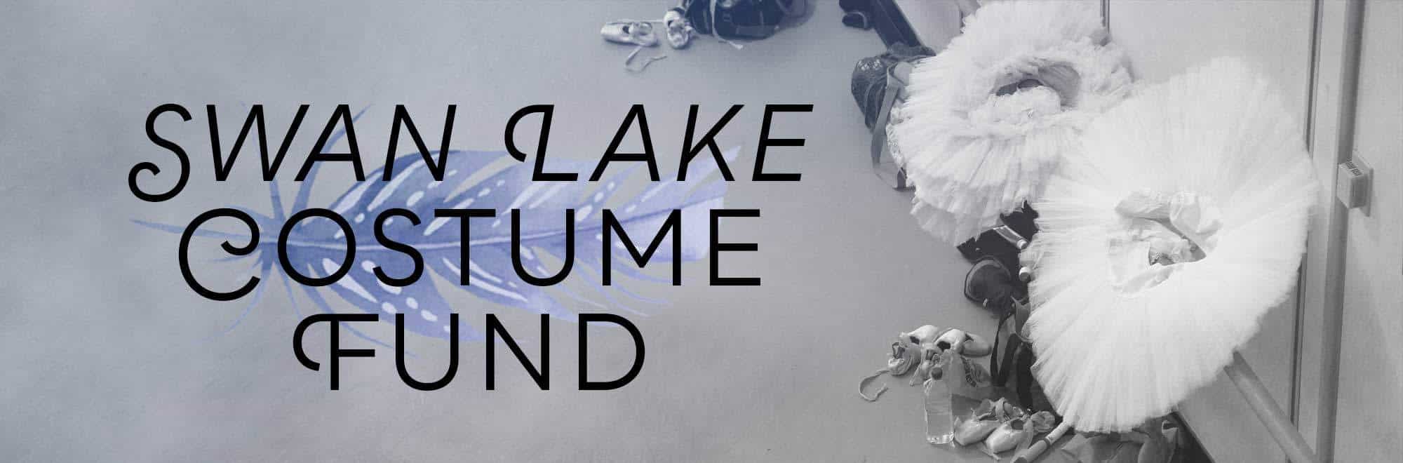 Swan Lake Costume Fund Banner Image