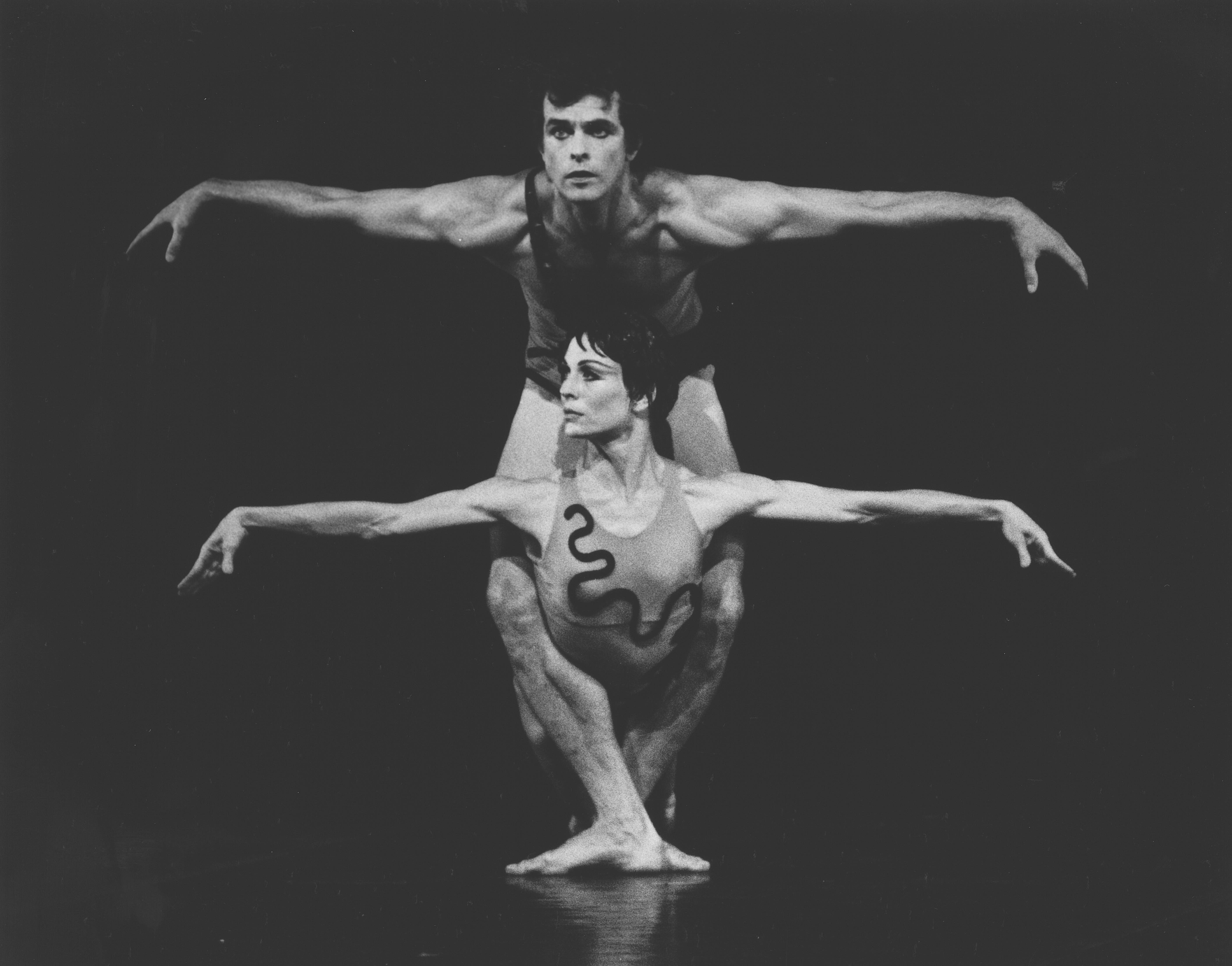 The Cage - PNB - Deborah Hadley, Michael Auer, 1984 - Photo by Ben Kerns